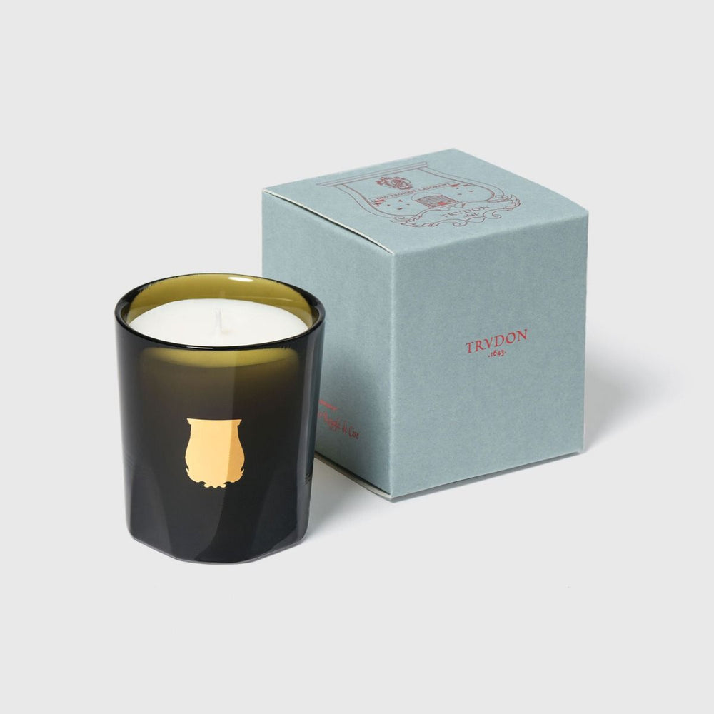 Scented Candle Gourmand Chimney fire Gabriel